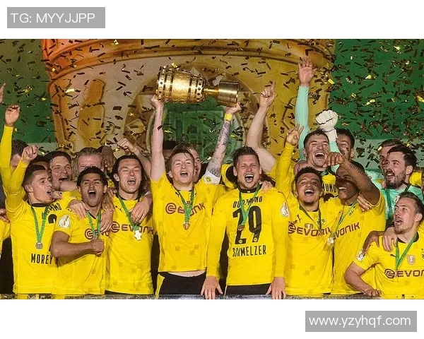 全面解析皇冠足球明星名单及其辉煌成就与历史影响力